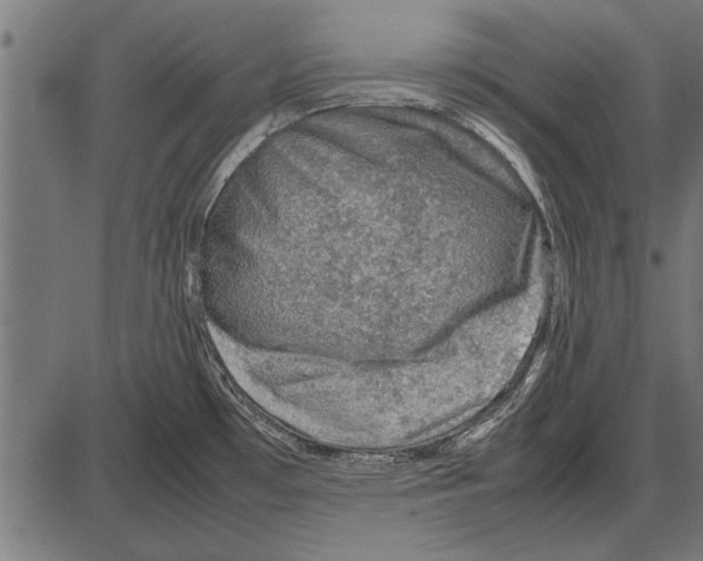 X0000085731481200704091431