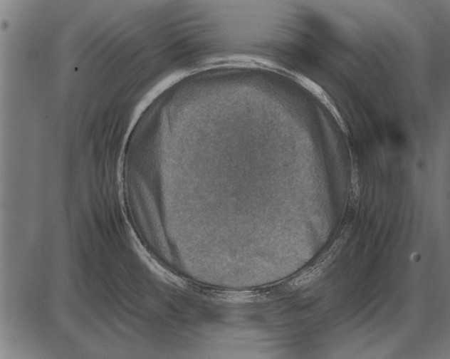 X0000085731482200704091431