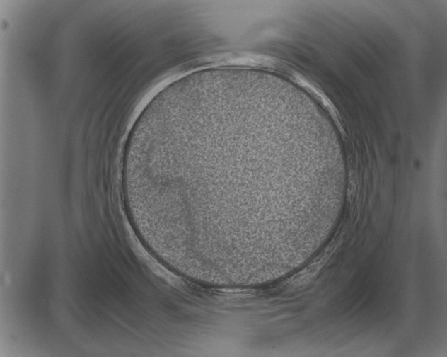 X0000085731483200704091431