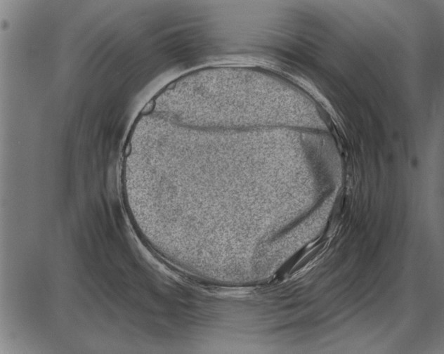 X0000085731484200704091431