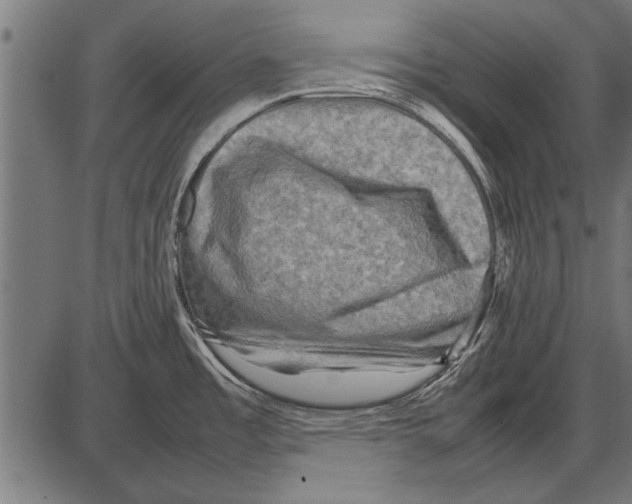 X0000085731485200704091431