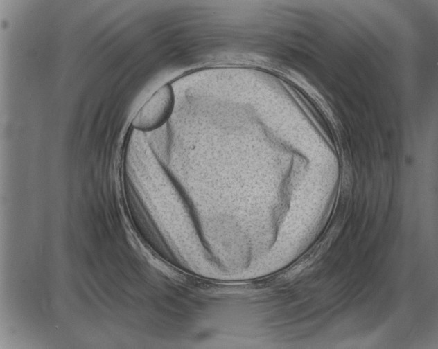 X0000085731486200704091431