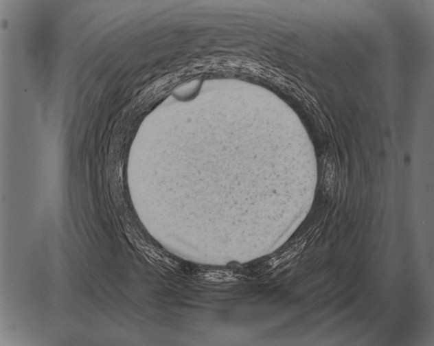 X0000085731489200704091430