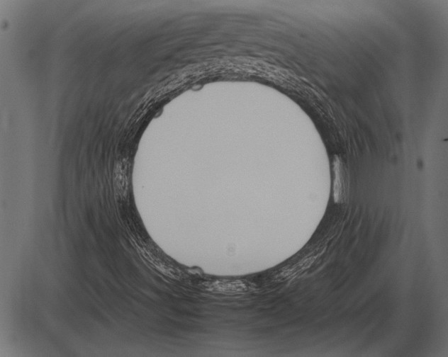 X0000085731491200704091430