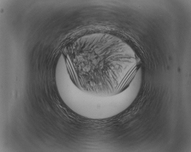 X0000085731492200704091430