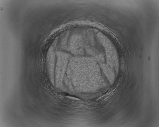 X0000085731494200704091430