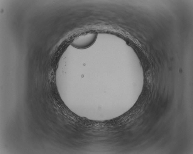 X0000085731495200704091430