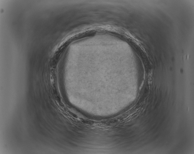 X0000085731496200704091430