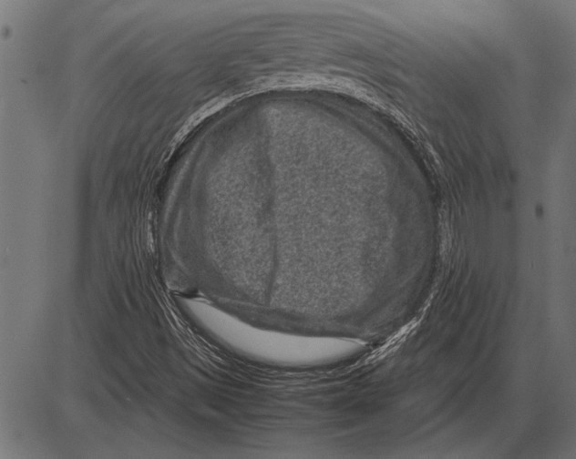 X0000085731497200704091430