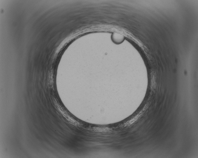 X0000085731498200704091430