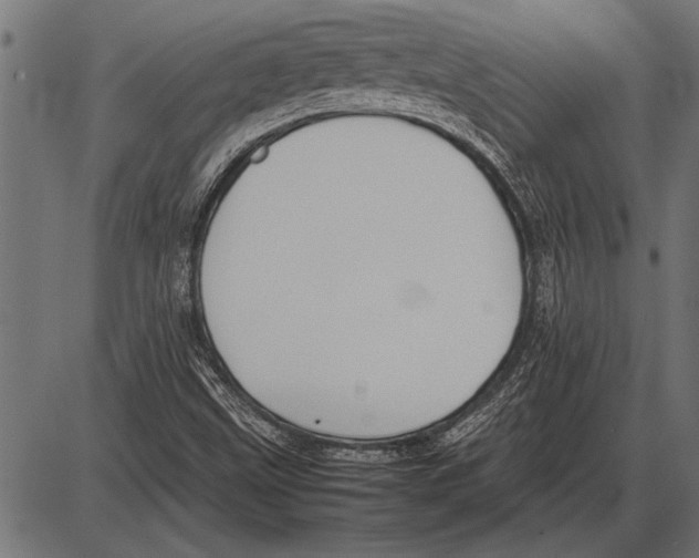 X0000085731499200704091430