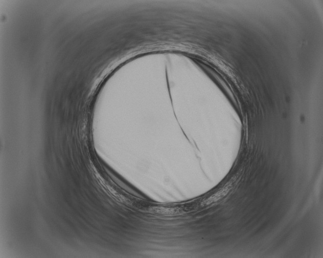 X0000085731500200704091430