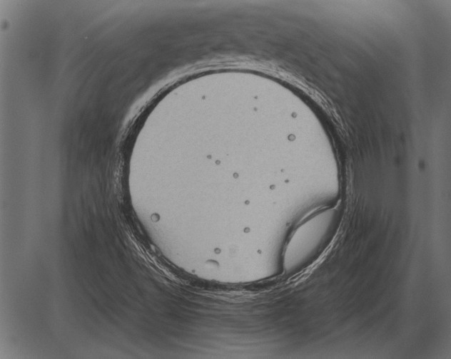 X0000085731502200704091431