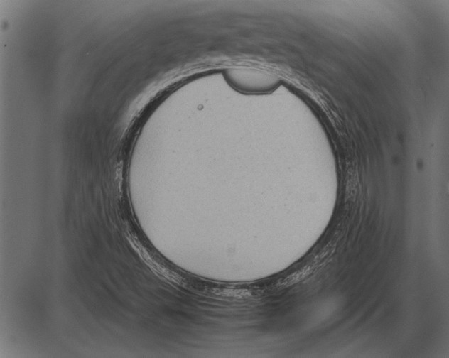 X0000085731503200704091431