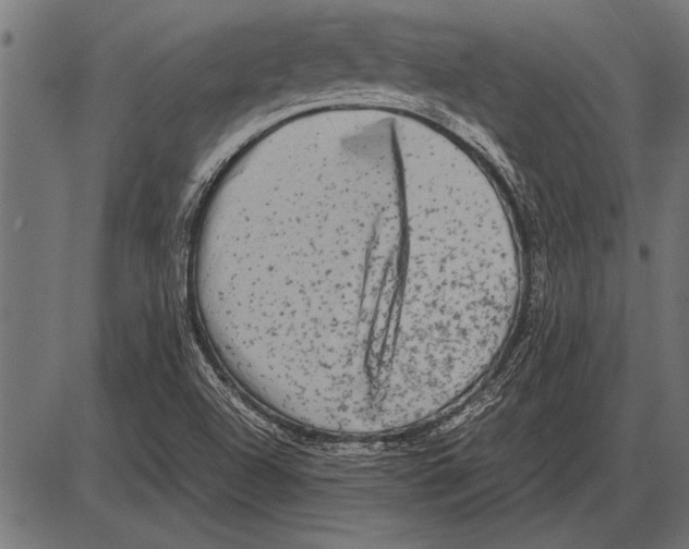 X0000085731504200704091431