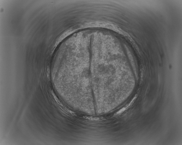 X0000085731505200704091431