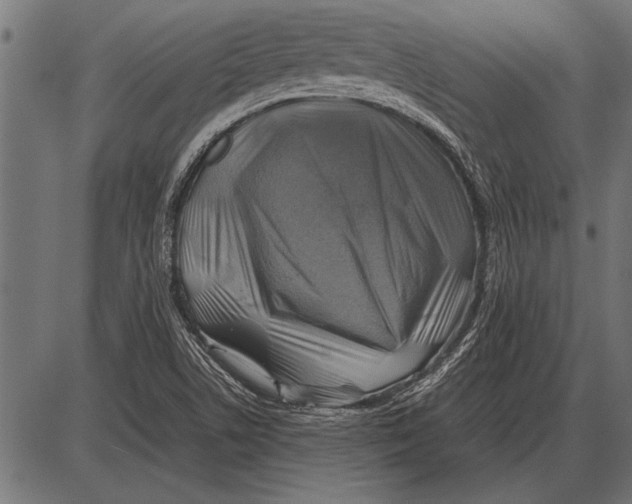 X0000085731506200704091431