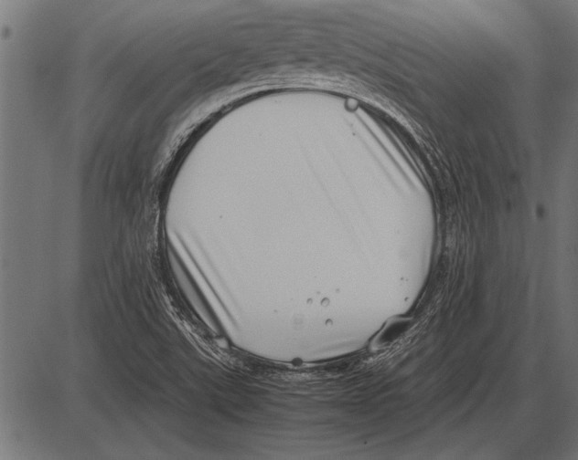 X0000085731507200704091431