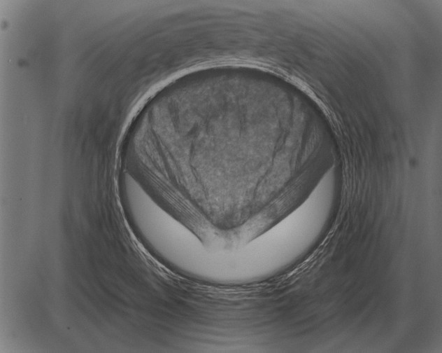 X0000085731508200704091431