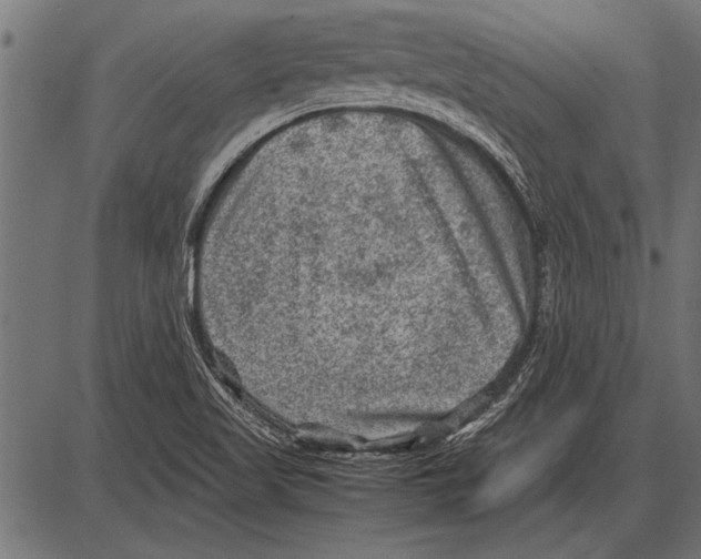 X0000085731509200704091431