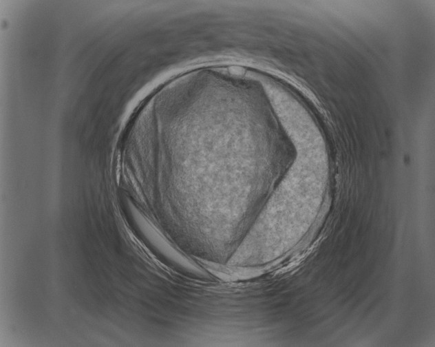 X0000085731510200704091431