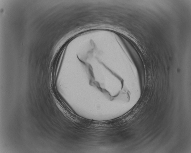 X0000085731511200704091431