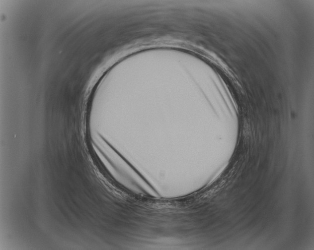 X0000085731512200704091431