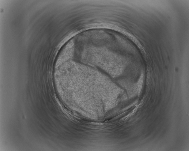 X0000085731513200704091431