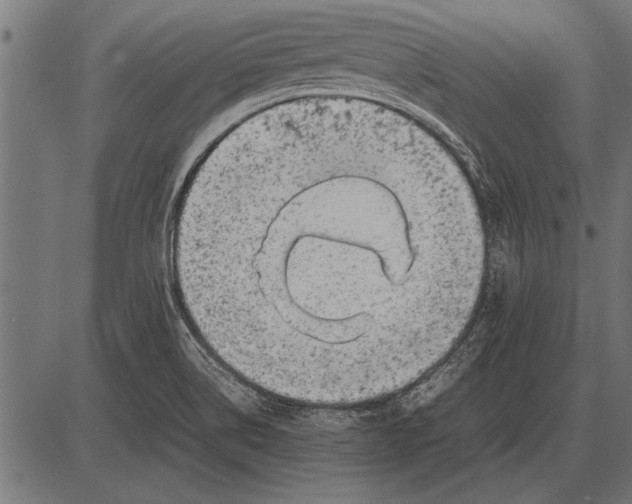 X0000085731514200704091431