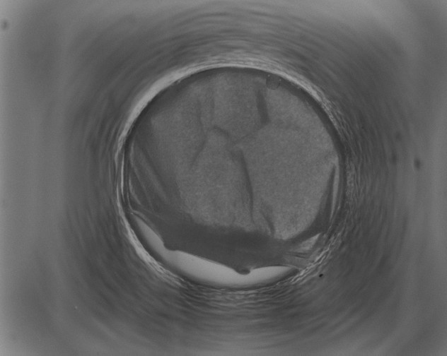 X0000085731515200704091431