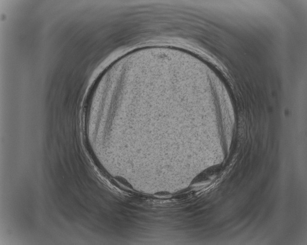 X0000085731517200704091431