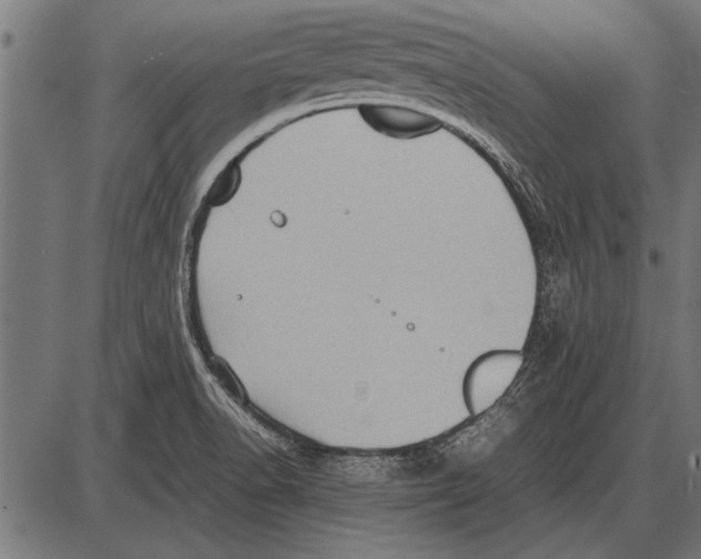 X0000085731518200704091431