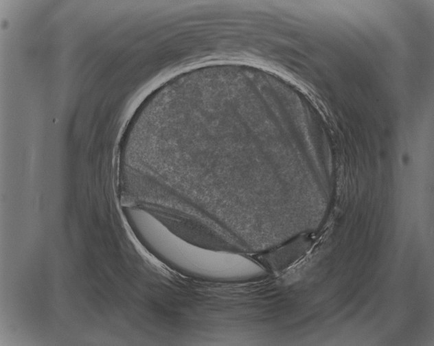 X0000085731519200704091431