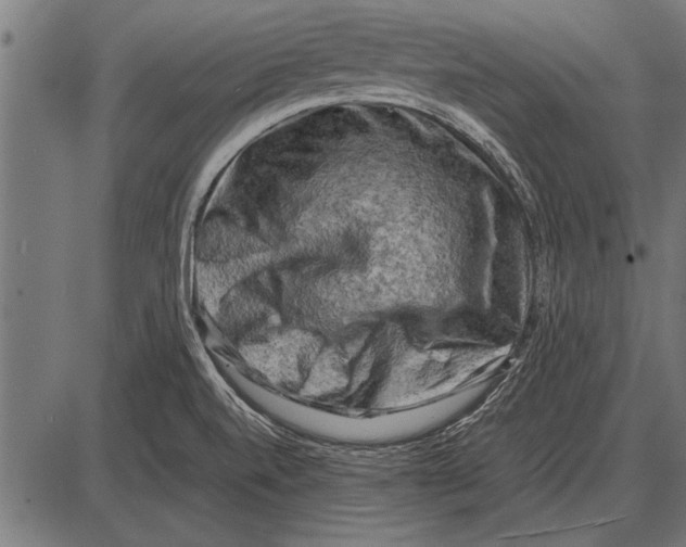 X0000085731520200704091431