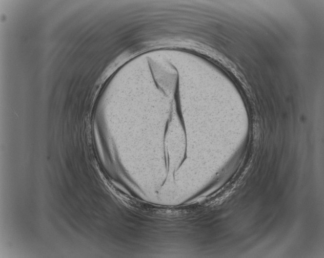 X0000085731521200704091431