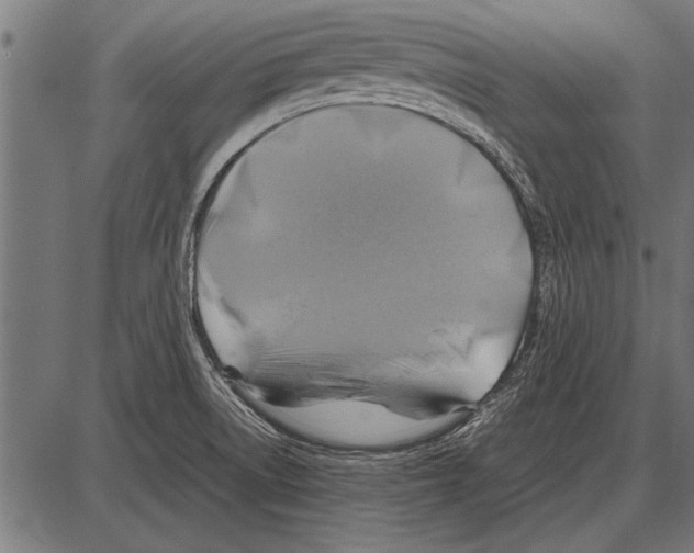 X0000085731522200704091431