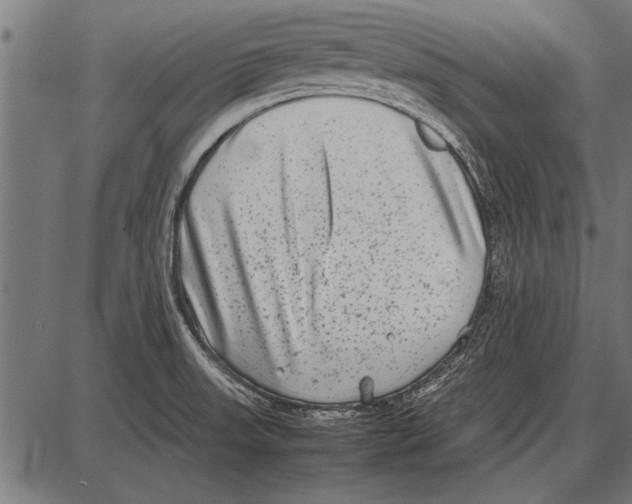 X0000085731523200704091431