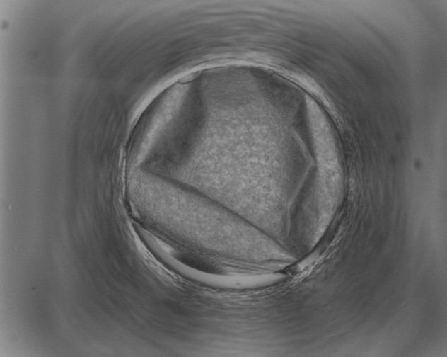 X0000085731524200704091431