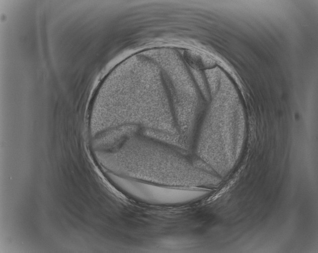 X0000085731525200704091431