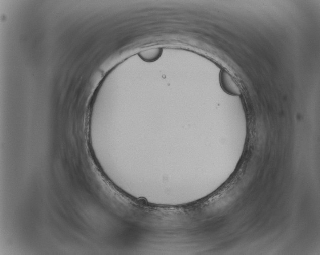 X0000085731526200704091431