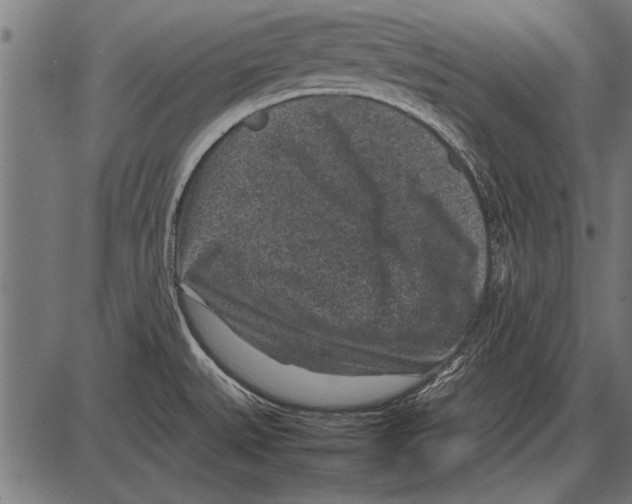 X0000085731527200704091431