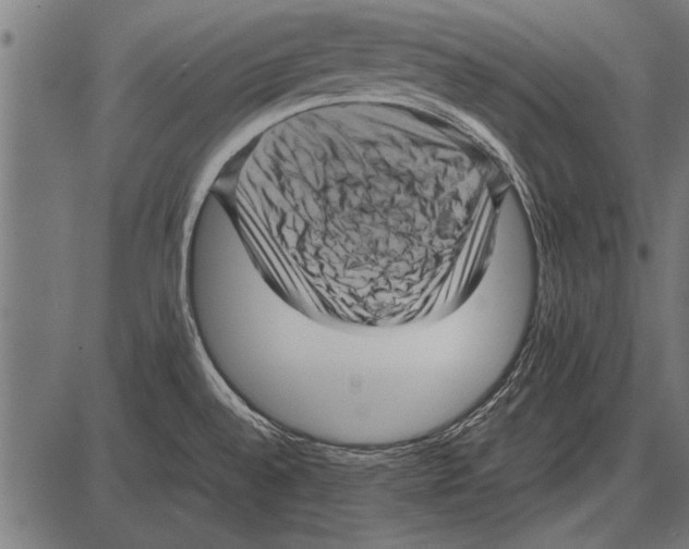 X0000085731528200704091431