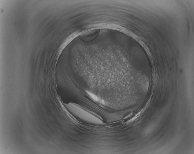 X0000085731529200704091431