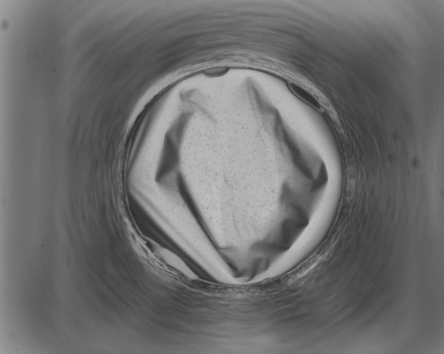 X0000085731530200704091431