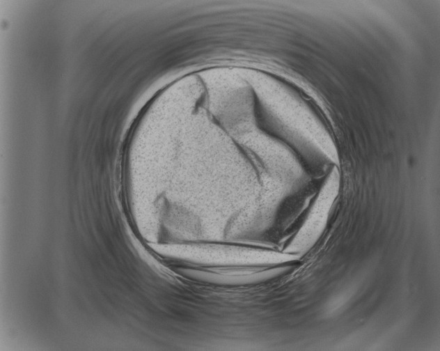 X0000085731531200704091431