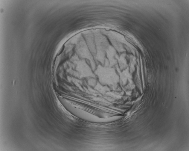 X0000085731532200704091431