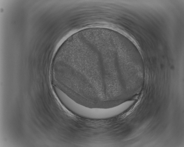 X0000085731533200704091431