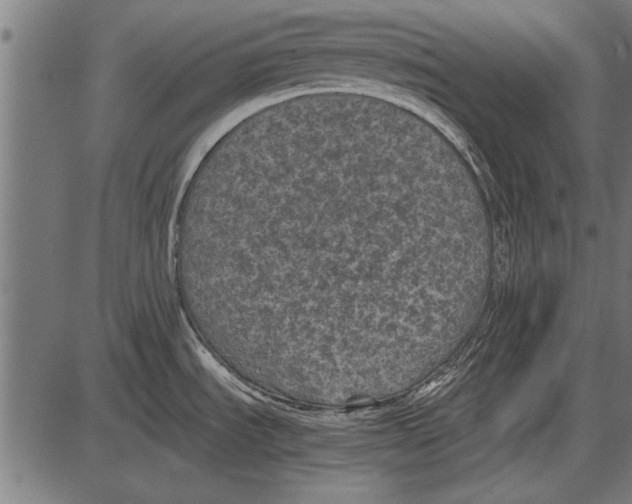 X0000085731535200704091431