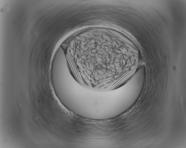 X0000085731536200704091431