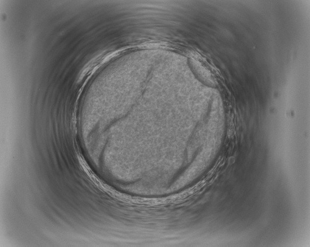 X0000085730002200704131631